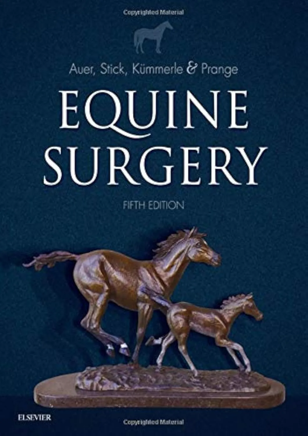 Equine Surgery - 5E