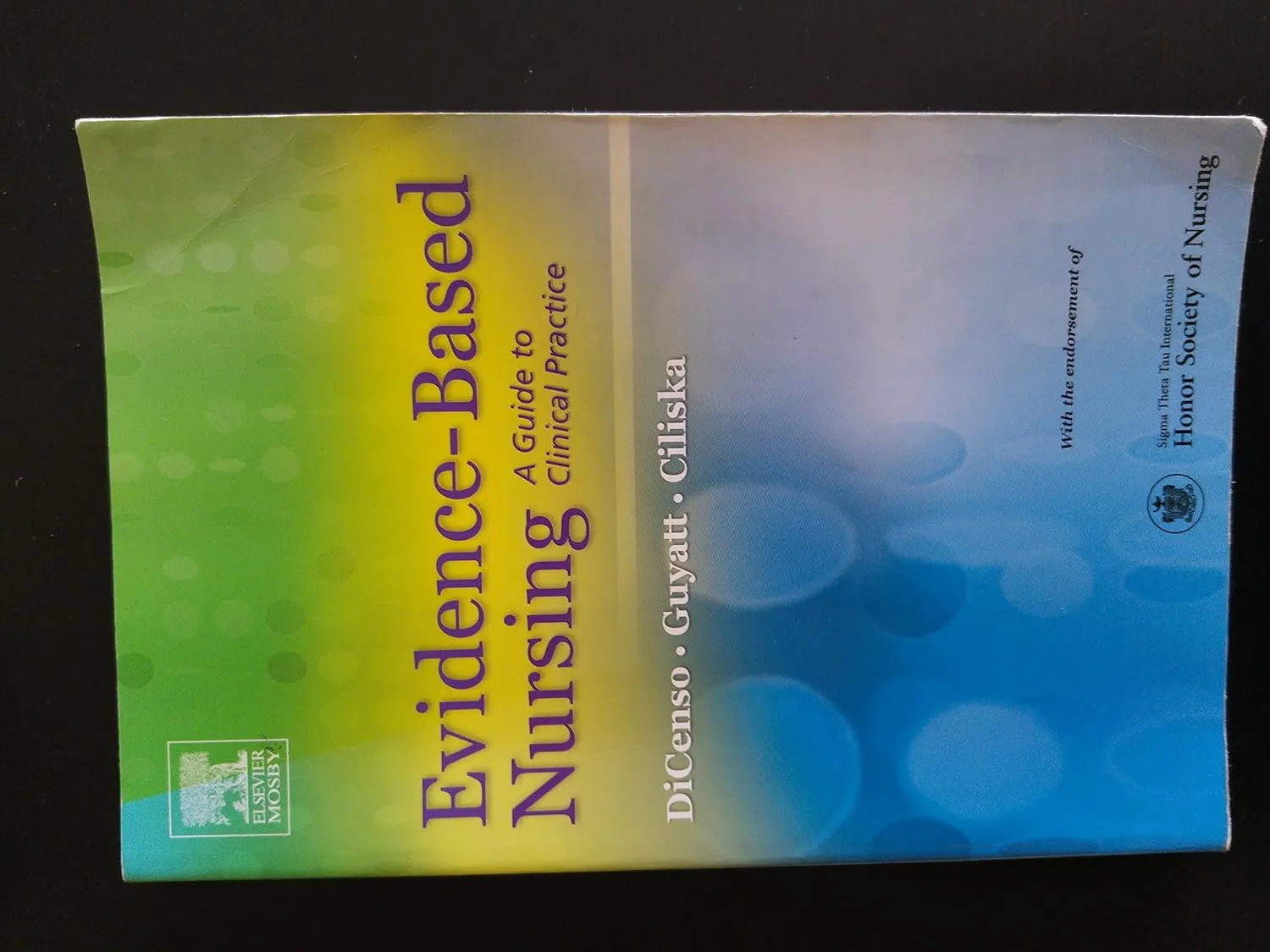 Evidence-Based Nursing-1E