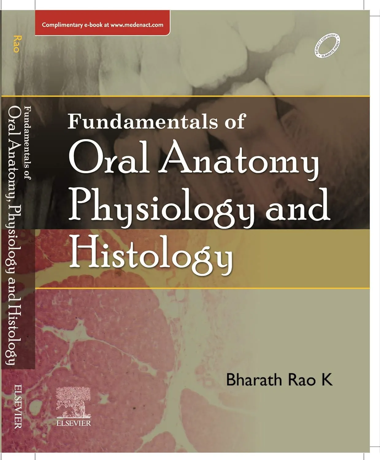 Fundamental of Oral Anatomy,Physiology and Histrology