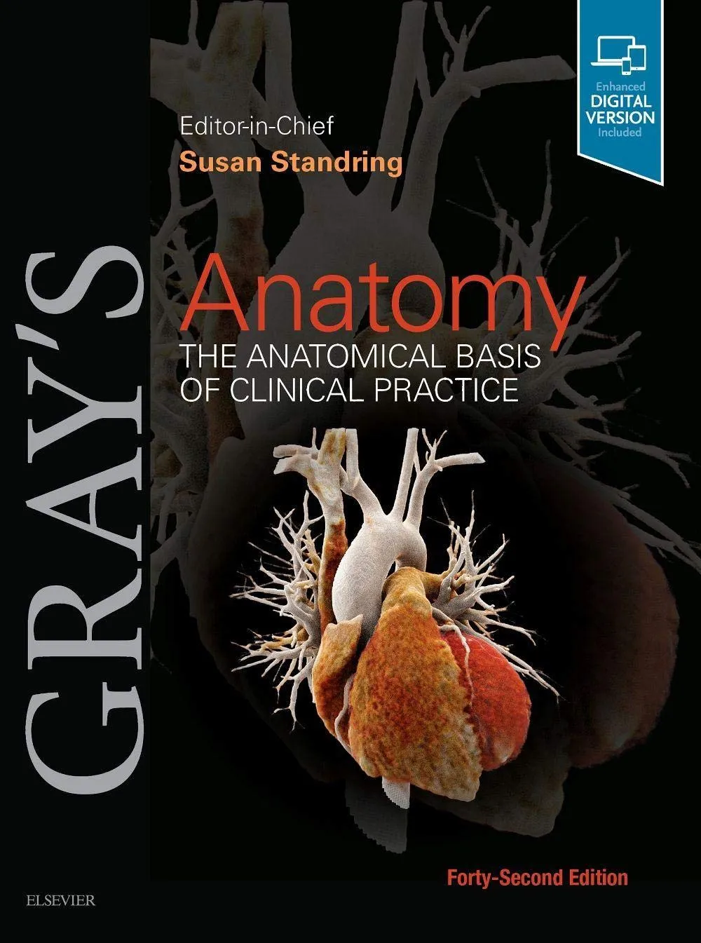 Gray's Anatomy: The Anatomical Basis of Clinical Practice - 42E
