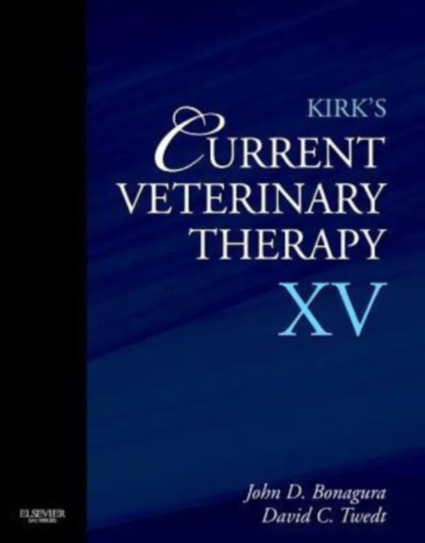 Kirks Current Vet Therapy XV-1E