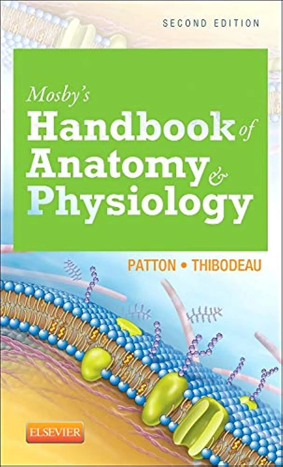 Mosby's Handbook of Anatomy & Physiology-2E