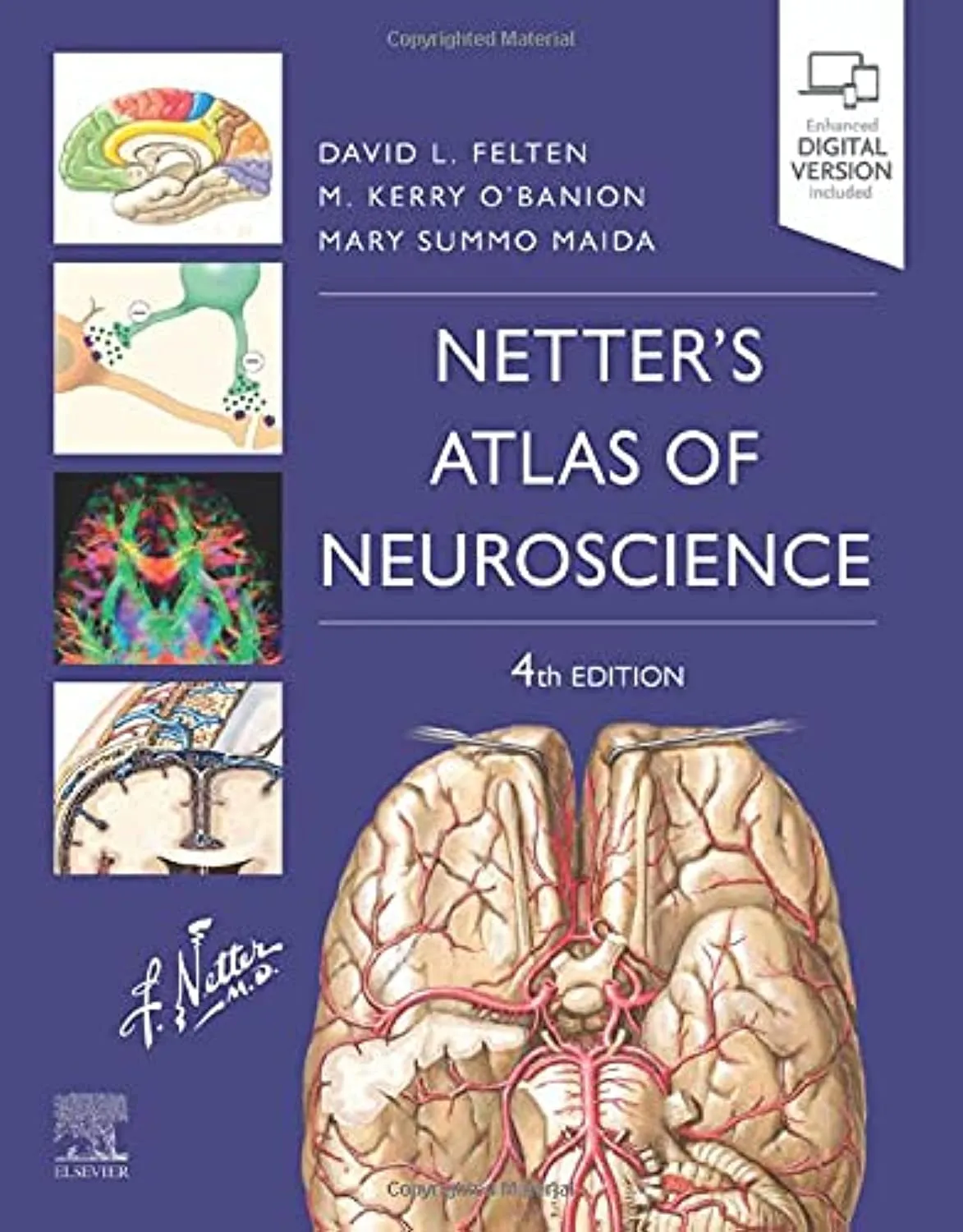 Netter's Atlas of Neuroscience -4ED
