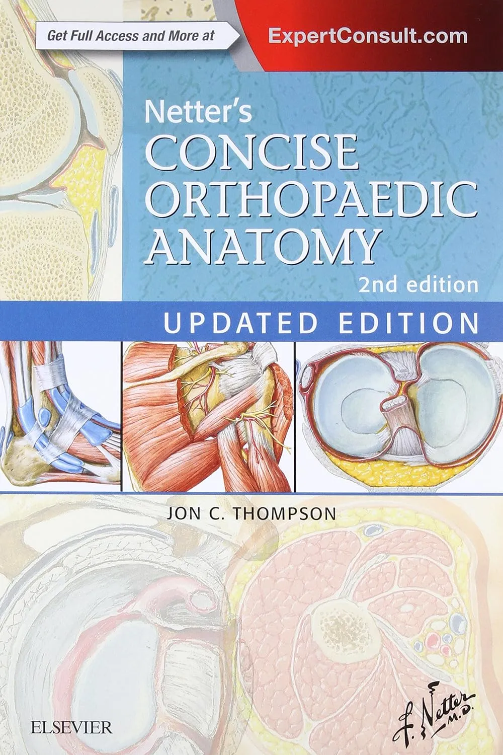 Netters Concise Orthopaedic Anatomy, Updated Edition - 2E