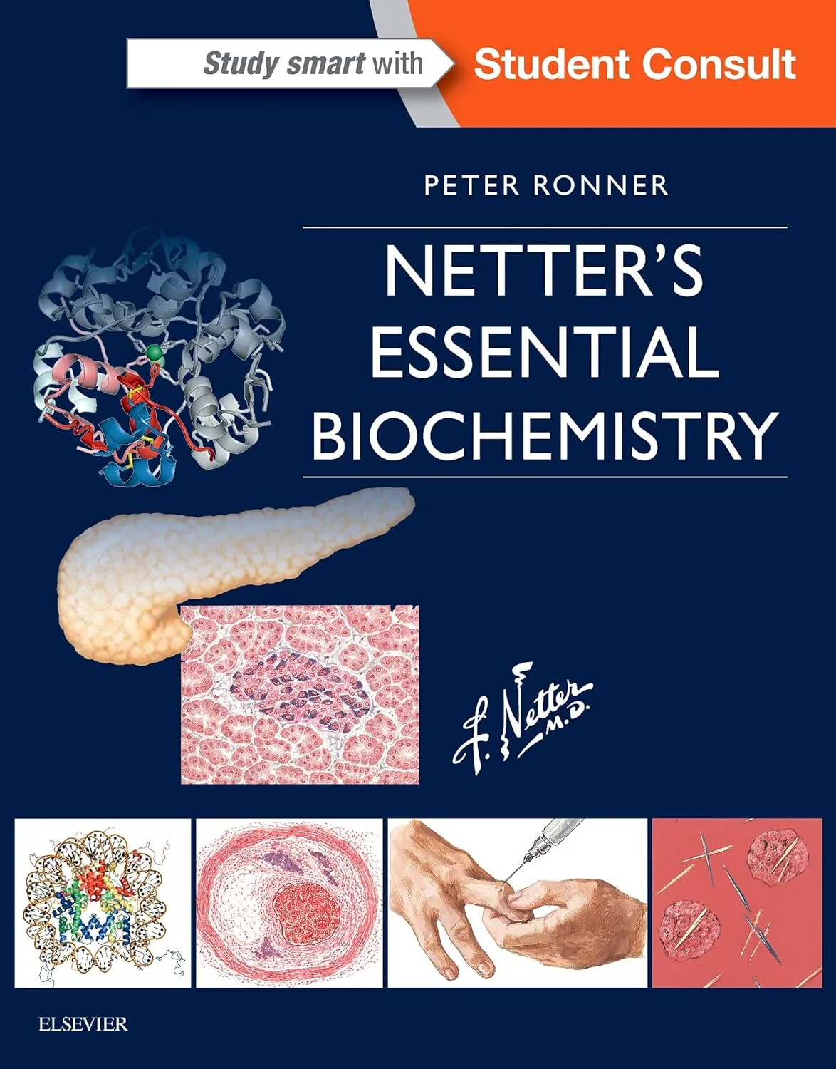 Netter's Essential Biochemistry -1E