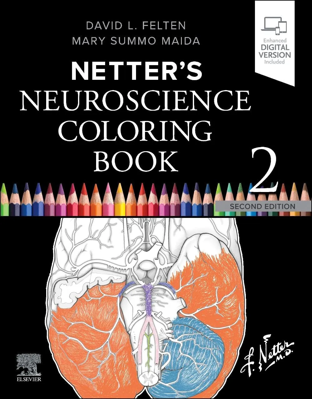 Netter's Neuroscience Coloring Book - 2E