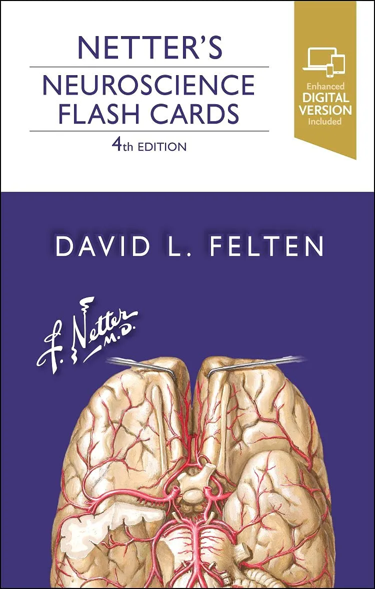 Netter's Neuroscience Flash Cards-4E