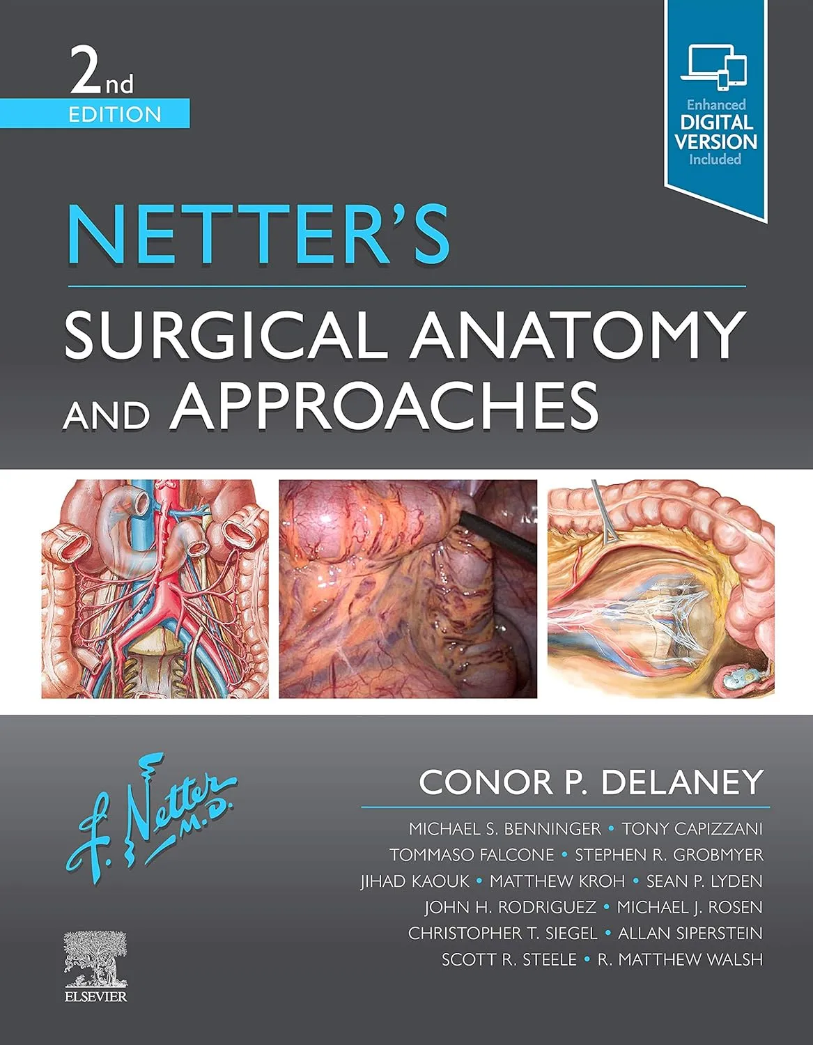 Netter's Surgical Anatomy and Approaches-2ED