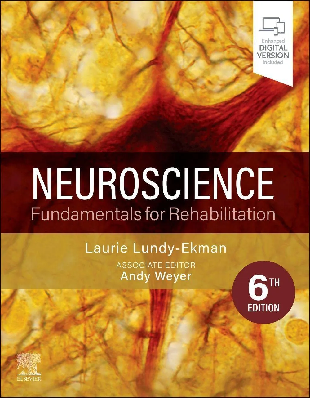 Neuroscience: Fundamentals for Rehabilitation - 6E