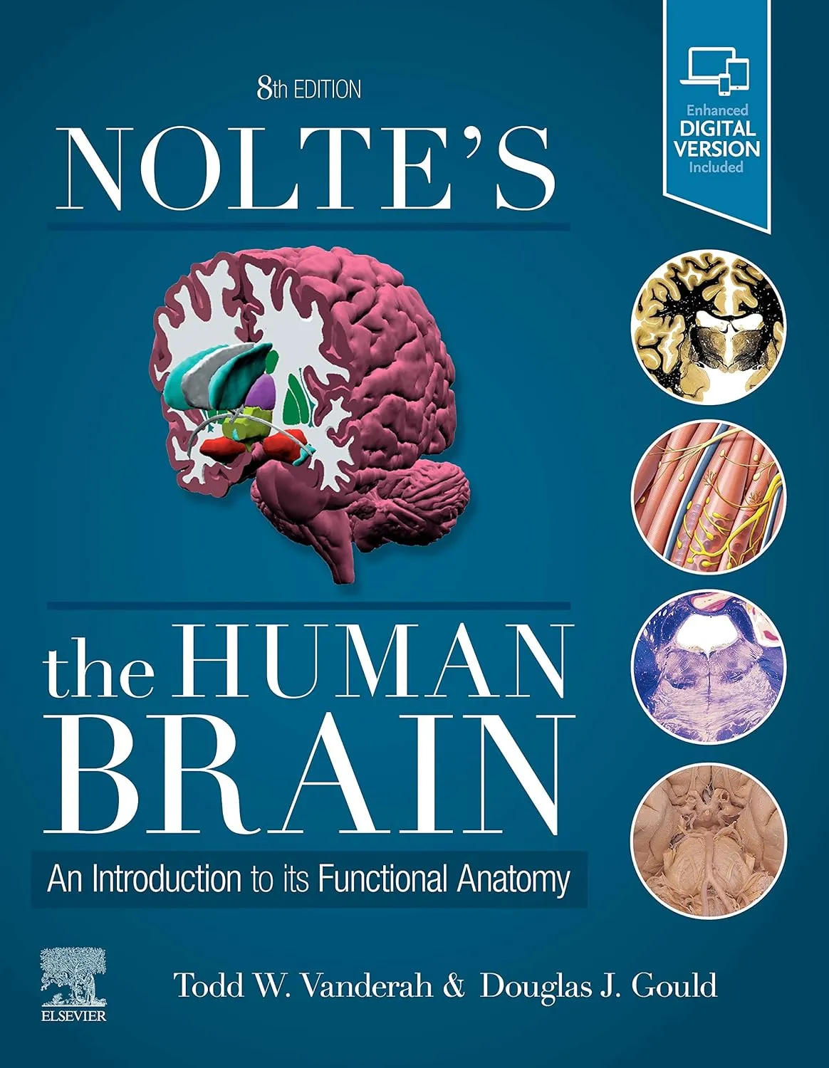 Nolte's The Human Brain: An Introduction to its Functional Anatomy - 8ED
