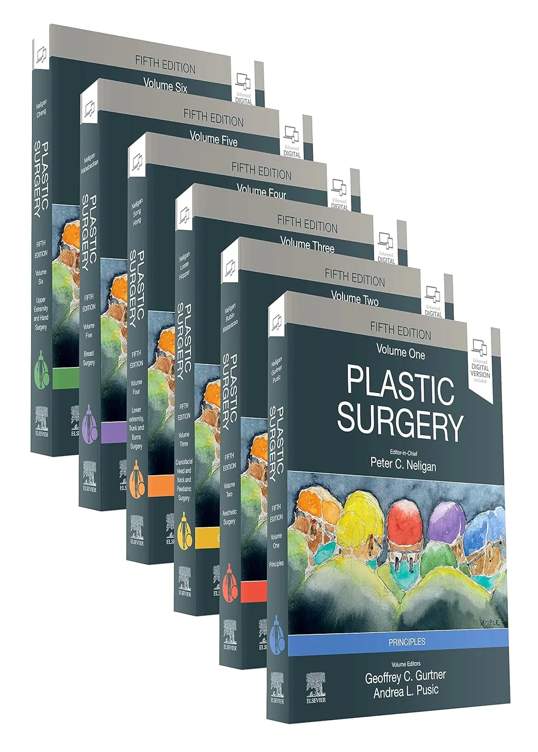 Plastic Surgery (6-Volume Set) - 5E