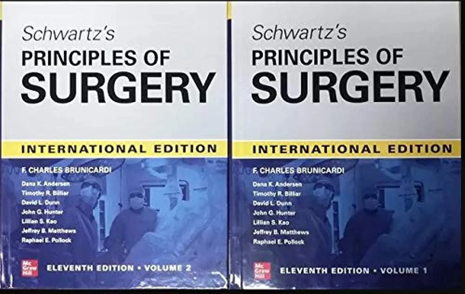 Schwartz's Princples of Surgery(2-Vol)(IE)-11E