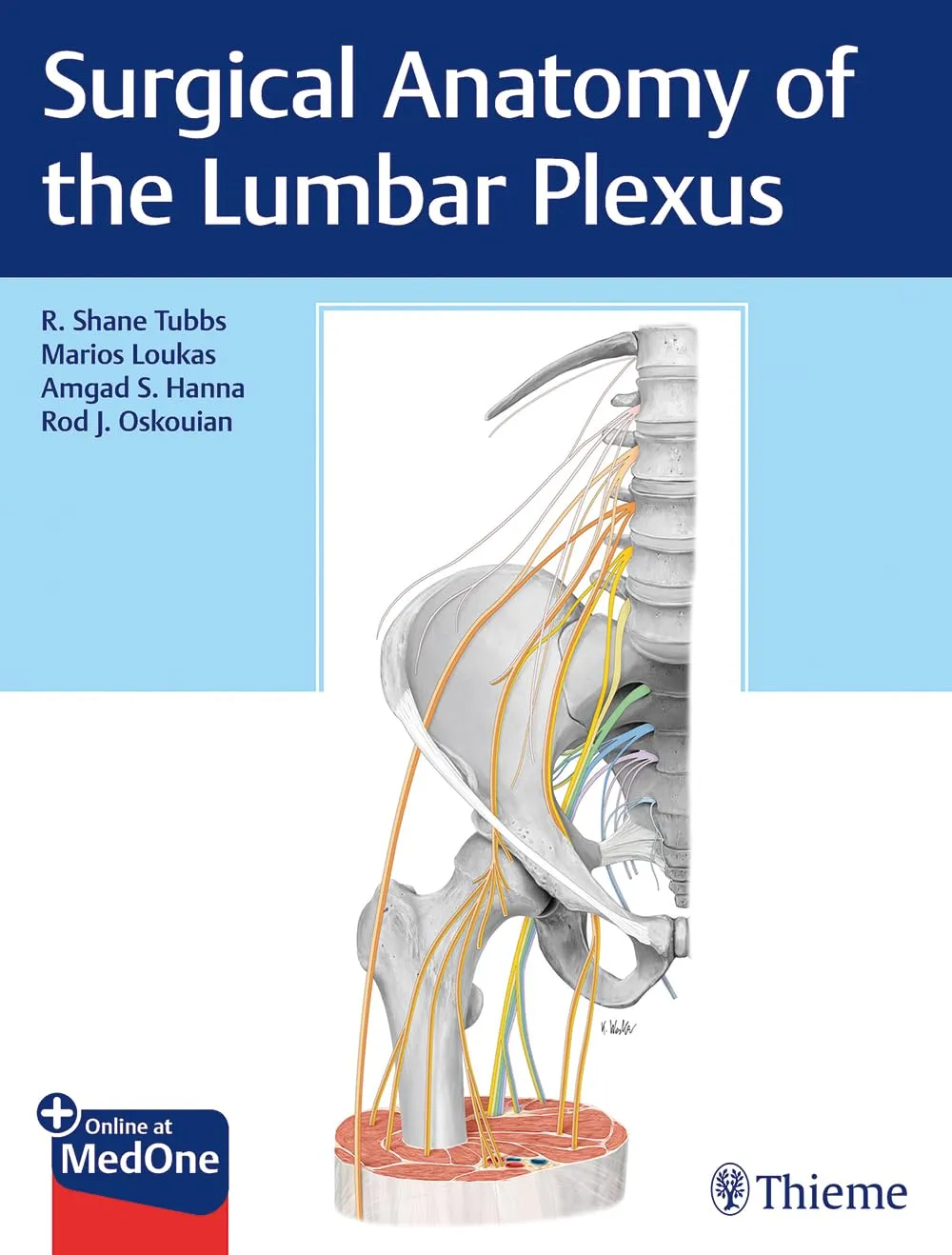 Surgical Anatomy of the Lumbar Plexus 1st Ed.