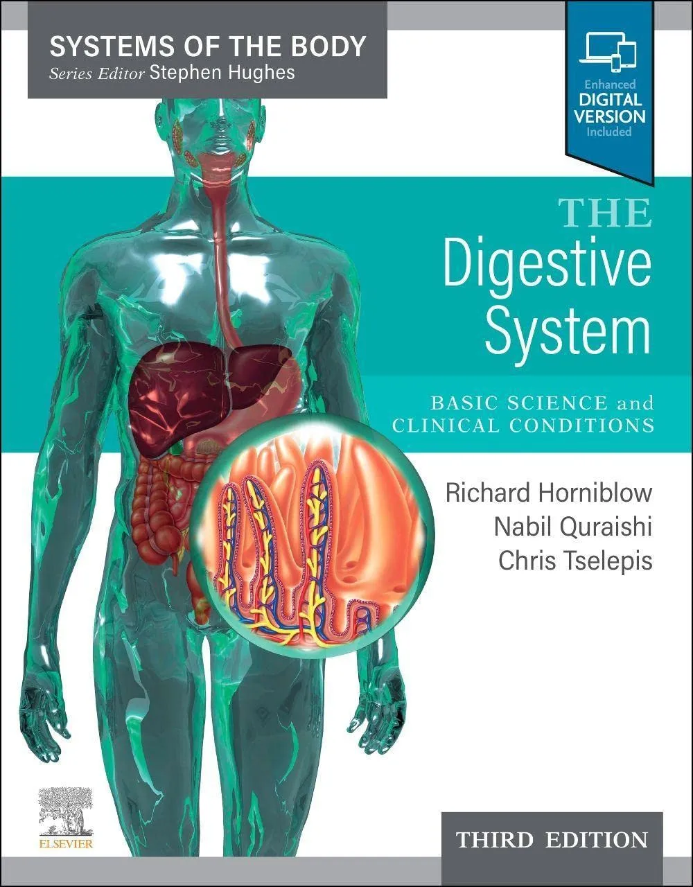 The Digestive System-3E
