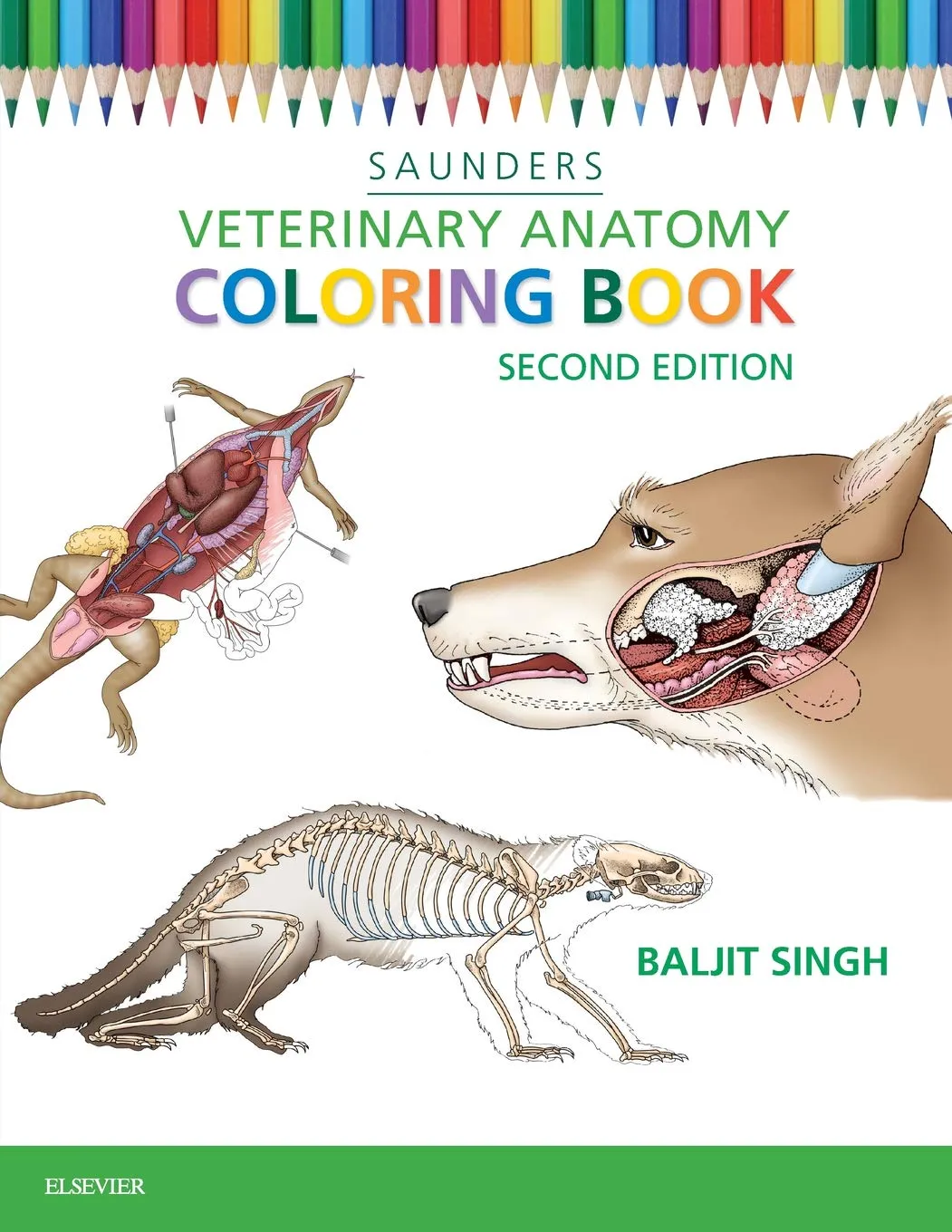Saunders Veterinary Anatomy Coloring Book - 2E