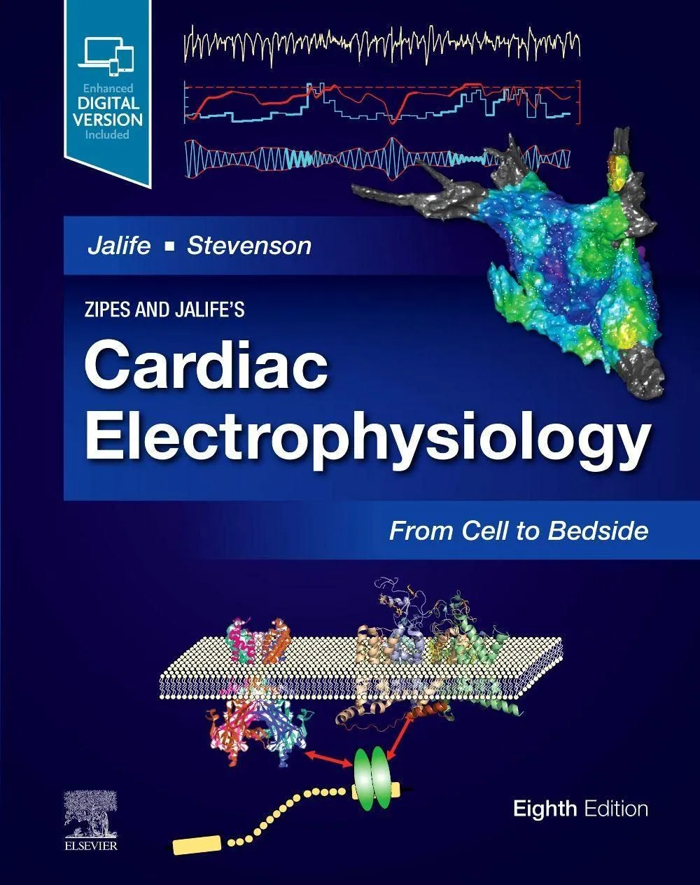 Image of Zipes and Jalife's Cardiac Electrophysiology: From Cell to Bedsid - 8E